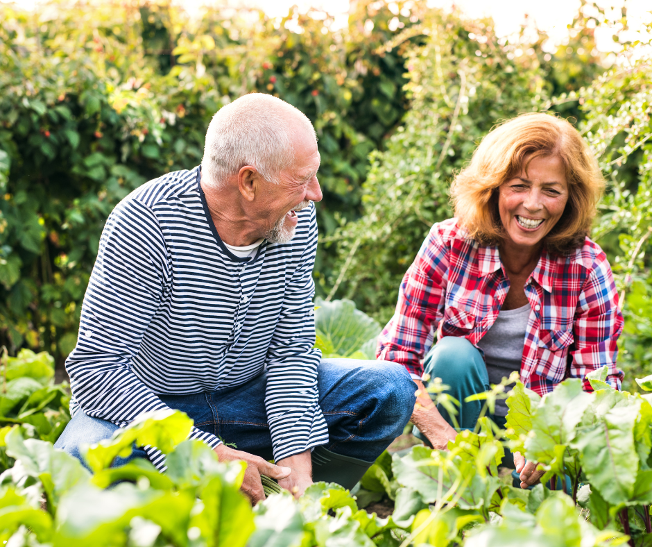 How Gardening Helps Older People