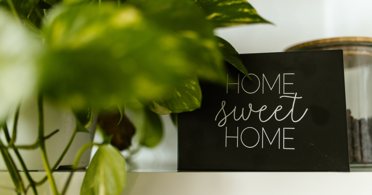Cleaning Tips: Essential Ways to Keep Your Home Fresh This Summer